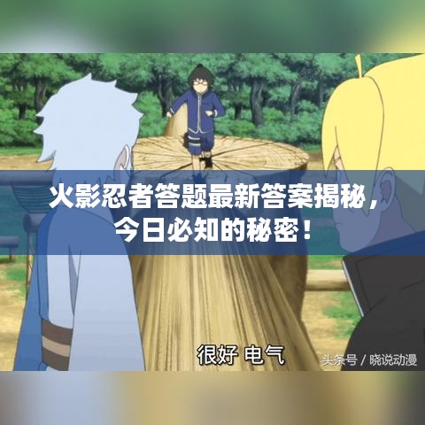 火影忍者答題最新答案揭秘，今日必知的秘密！