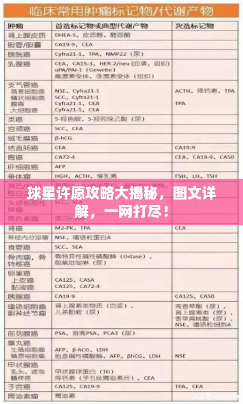 球星許愿攻略大揭秘，圖文詳解，一網(wǎng)打盡！