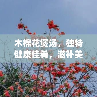 木棉花煲湯，獨(dú)特健康佳肴，滋補(bǔ)美味之選