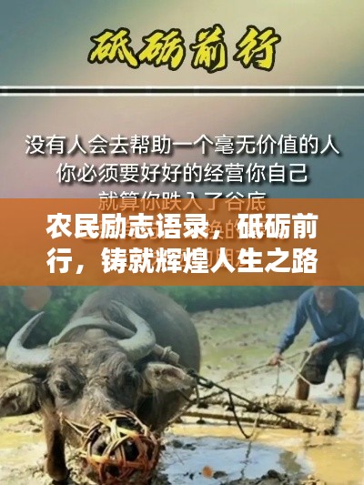 農(nóng)民勵志語錄，砥礪前行，鑄就輝煌人生之路