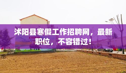 沭陽(yáng)縣寒假工作招聘網(wǎng)，最新職位，不容錯(cuò)過(guò)！