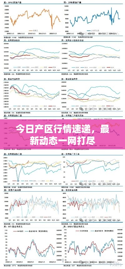 今日產(chǎn)區(qū)行情速遞，最新動態(tài)一網(wǎng)打盡
