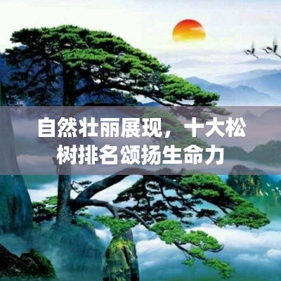 自然壯麗展現(xiàn)，十大松樹排名頌揚(yáng)生命力