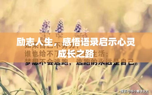 勵志人生，感悟語錄啟示心靈成長之路