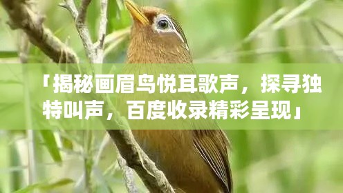龍飛九五 第2頁(yè)