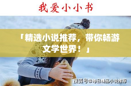 「精選小說(shuō)推薦，帶你暢游文學(xué)世界！」