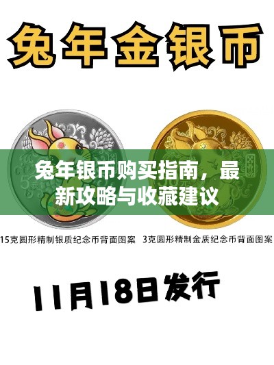 兔年銀幣購(gòu)買指南，最新攻略與收藏建議