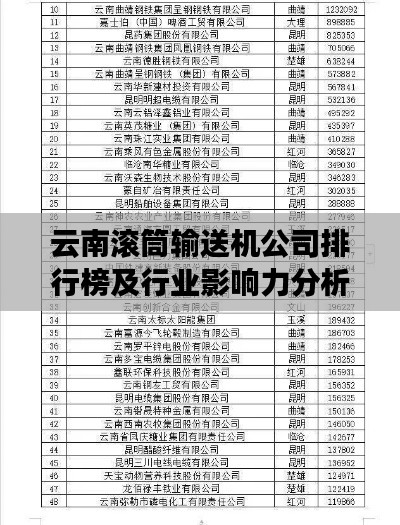 云南滾筒輸送機公司排行榜及行業(yè)影響力分析