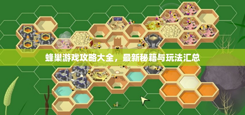 蜂巢游戲攻略大全，最新秘籍與玩法匯總