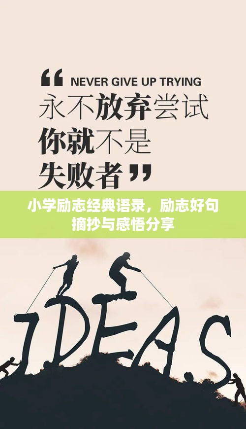 小學(xué)勵(lì)志經(jīng)典語錄，勵(lì)志好句摘抄與感悟分享