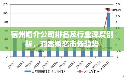 宿州婚介公司排名及行業(yè)深度剖析，洞悉婚戀市場(chǎng)趨勢(shì)