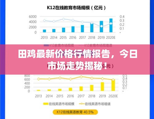 田雞最新價(jià)格行情報(bào)告，今日市場走勢揭秘！