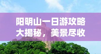 陽明山一日游攻略大揭秘，美景盡收眼底！