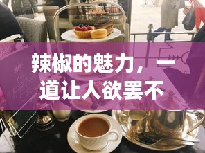 辣椒的魅力，一道讓人欲罷不能的美食探索之旅！