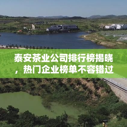泰安茶業(yè)公司排行榜揭曉，熱門企業(yè)榜單不容錯過！