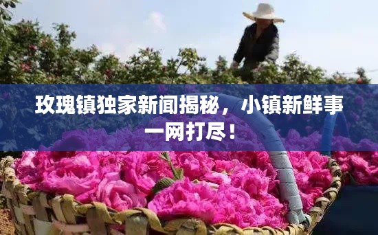 玫瑰鎮(zhèn)獨家新聞揭秘，小鎮(zhèn)新鮮事一網(wǎng)打盡！