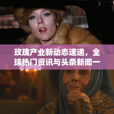 玫瑰產(chǎn)業(yè)新動態(tài)速遞，全球熱門資訊與頭條新聞一網(wǎng)打盡