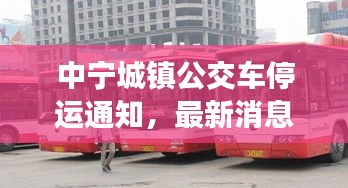 中寧城鎮(zhèn)公交車停運通知，最新消息及影響分析