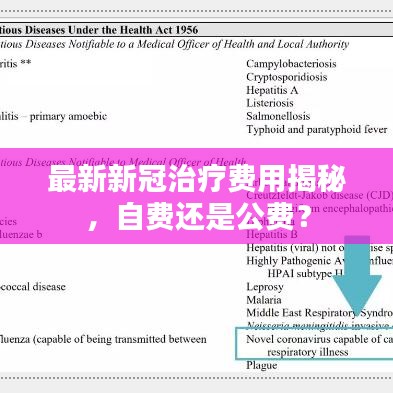 最新新冠治療費(fèi)用揭秘，自費(fèi)還是公費(fèi)？