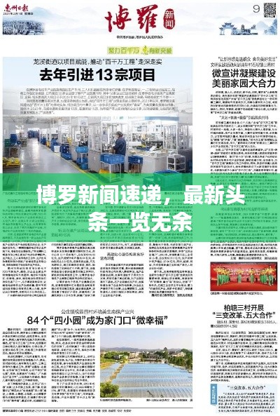 博羅新聞速遞，最新頭條一覽無(wú)余