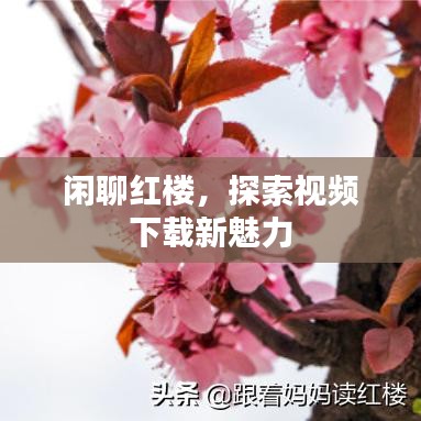 閑聊紅樓，探索視頻下載新魅力