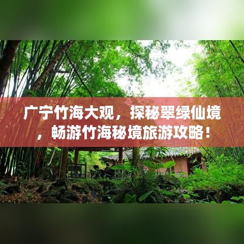廣寧竹海大觀，探秘翠綠仙境，暢游竹海秘境旅游攻略！