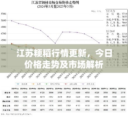 江蘇粳稻行情更新，今日價格走勢及市場解析