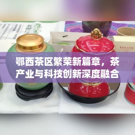 鄂西茶區(qū)繁榮新篇章，茶產(chǎn)業(yè)與科技創(chuàng)新深度融合引領(lǐng)發(fā)展之路