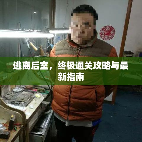 逃離后室，終極通關(guān)攻略與最新指南