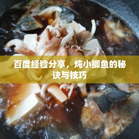 百度經(jīng)驗(yàn)分享，燉小鯽魚的秘訣與技巧