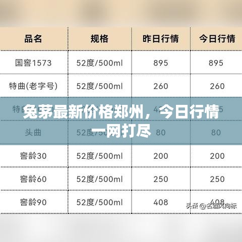兔茅最新價(jià)格鄭州，今日行情一網(wǎng)打盡
