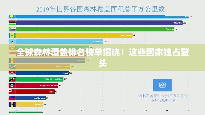 全球森林覆蓋排名榜單揭曉！這些國家獨(dú)占鰲頭