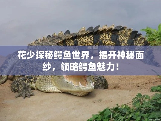 花少探秘鱷魚世界，揭開神秘面紗，領(lǐng)略鱷魚魅力！