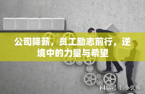 公司降薪，員工勵(lì)志前行，逆境中的力量與希望