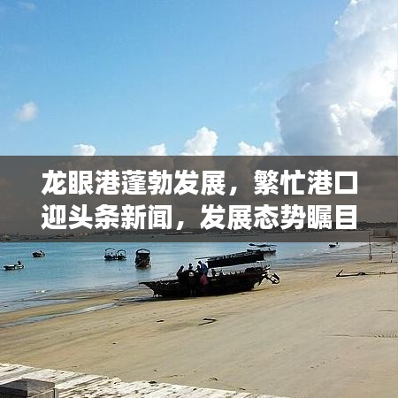 龍眼港蓬勃發(fā)展，繁忙港口迎頭條新聞，發(fā)展態(tài)勢矚目