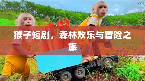 猴子短劇，森林歡樂(lè)與冒險(xiǎn)之旅