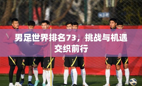 男足世界排名73，挑戰(zhàn)與機遇交織前行