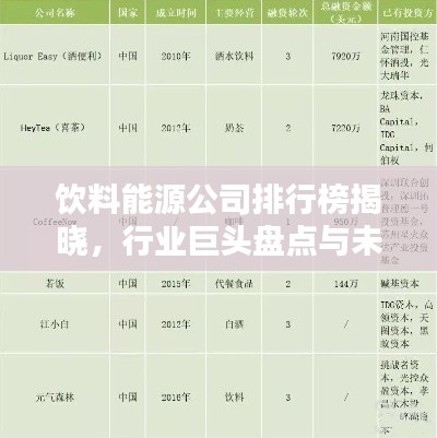 飲料能源公司排行榜揭曉，行業(yè)巨頭盤點(diǎn)與未來趨勢預(yù)測