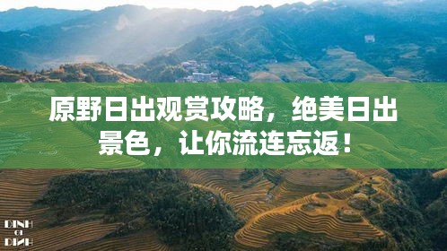 原野日出觀賞攻略，絕美日出景色，讓你流連忘返！
