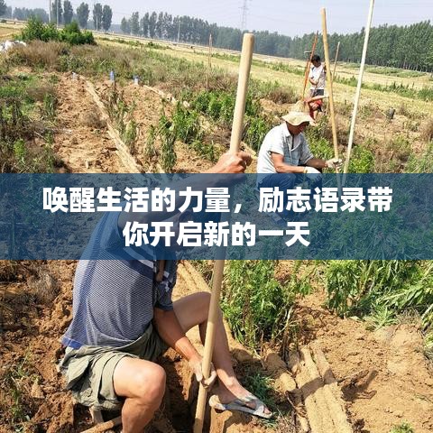 喚醒生活的力量，勵(lì)志語(yǔ)錄帶你開啟新的一天
