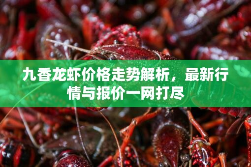 九香龍蝦價(jià)格走勢(shì)解析，最新行情與報(bào)價(jià)一網(wǎng)打盡