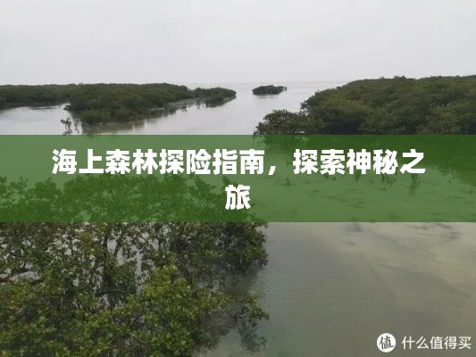 海上森林探險指南，探索神秘之旅