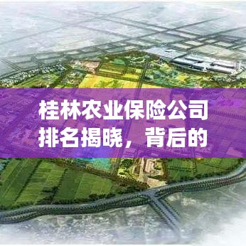 桂林農(nóng)業(yè)保險公司排名揭曉，背后的故事引人關(guān)注