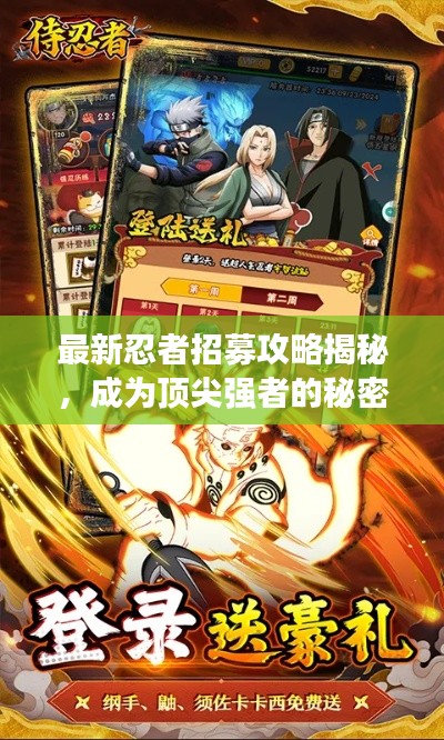 最新忍者招募攻略揭秘，成為頂尖強(qiáng)者的秘密之路！
