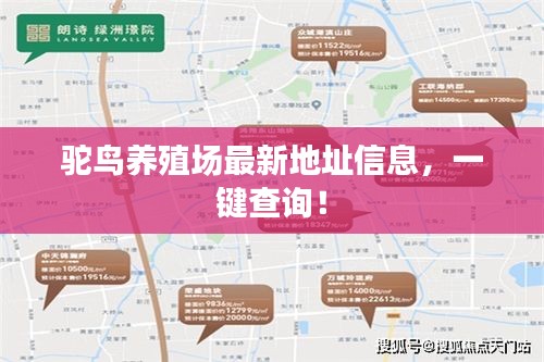 駝鳥(niǎo)養(yǎng)殖場(chǎng)最新地址信息，一鍵查詢！