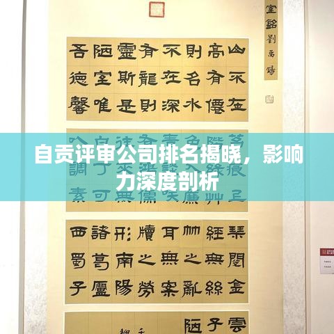 自貢評審公司排名揭曉，影響力深度剖析