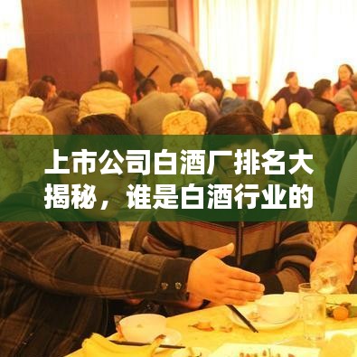 上市公司白酒廠排名大揭秘，誰是白酒行業(yè)的領(lǐng)頭羊？