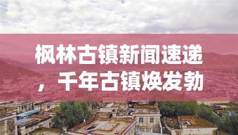 楓林古鎮(zhèn)新聞速遞，千年古鎮(zhèn)煥發(fā)勃勃生機(jī)