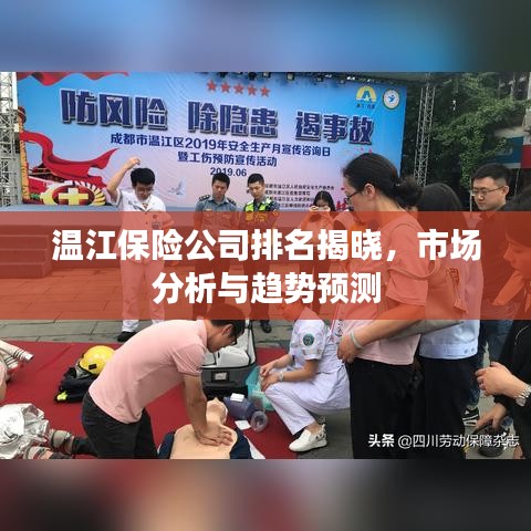 溫江保險(xiǎn)公司排名揭曉，市場分析與趨勢預(yù)測