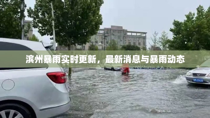 濱州暴雨實時更新，最新消息與暴雨動態(tài)